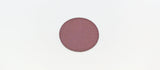 2" Quick Change Disc TSM Grit 100 Aluminum Oxide (15 Discs) SA 522407